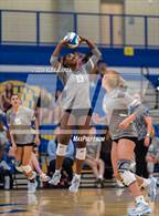 Photo from the gallery "Harlan @ Alamo Heights"