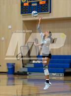 Photo from the gallery "Harlan @ Alamo Heights"