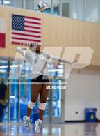 Photo from the gallery "Harlan @ Alamo Heights"