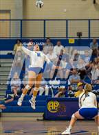Photo from the gallery "Harlan @ Alamo Heights"