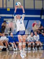 Photo from the gallery "Harlan @ Alamo Heights"
