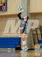 Photo from the gallery "Harlan @ Alamo Heights"