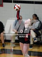 Photo from the gallery "Yorktown @ James Madison"