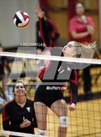 Photo from the gallery "Yorktown @ James Madison"