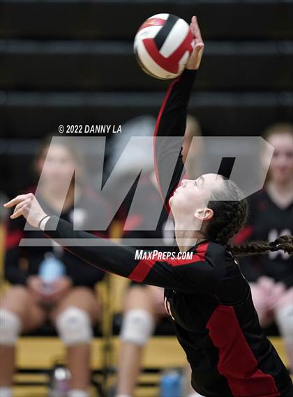 Thumbnail 3 in Yorktown @ James Madison photogallery.