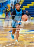 Photo from the gallery "Cleveland vs. Pojoaque Valley ( Bobby Rodriguz Capital City Tournament )"