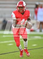 Photo from the gallery "Cypress Woods @ Cypress Lakes"