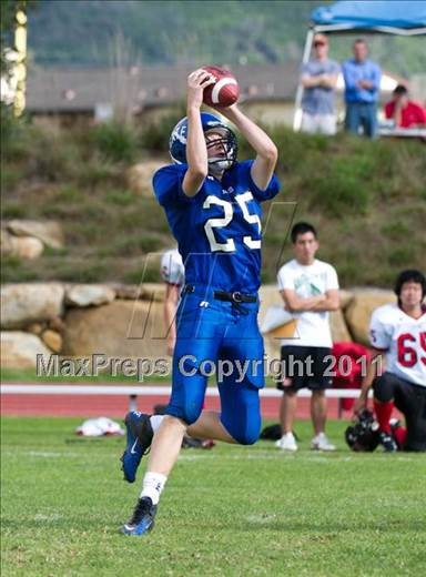 null - Photo 31