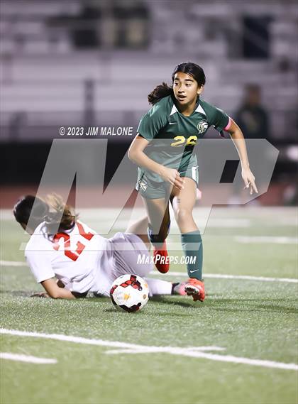 Thumbnail 3 in American @ Castro Valley photogallery.