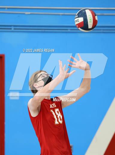 null - Photo 41