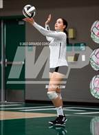 Photo from the gallery "Central Catholic @ Manteca"
