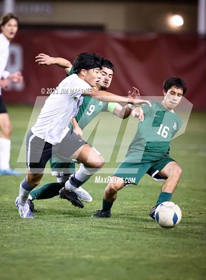 Thumbnail 1 in Mountain View @ Alisal (CIFCCS Open Div Championship) photogallery.