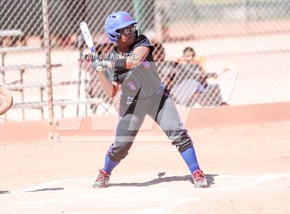 Thumbnail 1 in Coolidge vs. Alchesay photogallery.