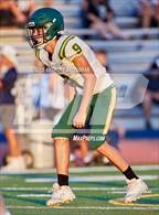 Photo from the gallery "Placer @ Casa Roble"