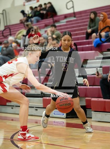 Thumbnail 1 in Tokay @ Lodi photogallery.