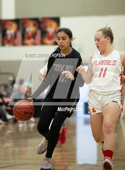 Thumbnail 2 in Tokay @ Lodi photogallery.