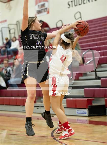 Thumbnail 3 in Tokay @ Lodi photogallery.