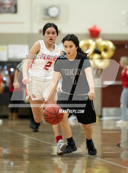 Thumbnail 2 in Tokay @ Lodi photogallery.