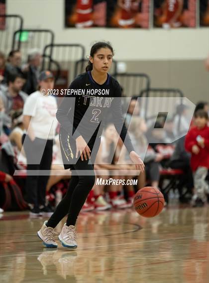 Thumbnail 1 in Tokay @ Lodi photogallery.