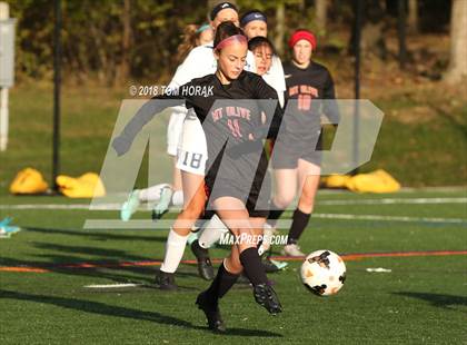 Thumbnail 2 in Pope John XXIII @ Mount Olive photogallery.