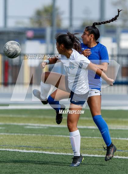 Thumbnail 1 in Crescenta Valley @ Alta Loma photogallery.