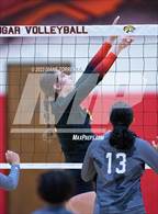 Photo from the gallery "Harrison @ Coronado"