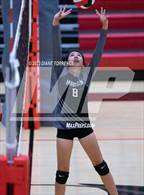 Photo from the gallery "Harrison @ Coronado"
