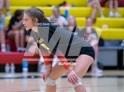 Thumbnail 2 in Harrison @ Coronado photogallery.