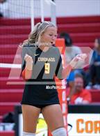 Photo from the gallery "Harrison @ Coronado"