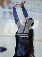 Photo from the gallery "Harrison @ Coronado"