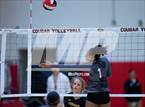 Photo from the gallery "Harrison @ Coronado"