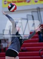Photo from the gallery "Harrison @ Coronado"