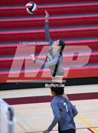 Photo from the gallery "Harrison @ Coronado"