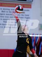 Photo from the gallery "Harrison @ Coronado"