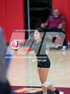 Photo from the gallery "Harrison @ Coronado"