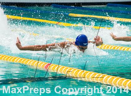 Thumbnail 1 in CIF CCS Boys Swimming Championship photogallery.