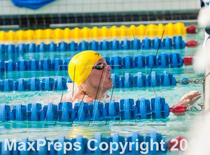 Thumbnail 3 in CIF CCS Boys Swimming Championship photogallery.