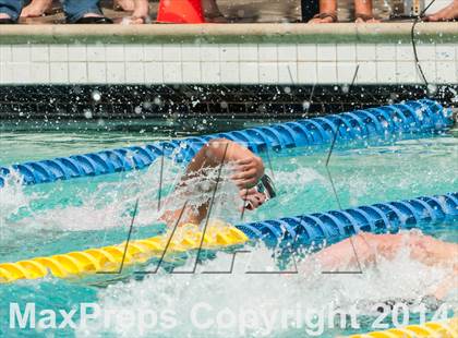 Thumbnail 1 in CIF CCS Boys Swimming Championship photogallery.