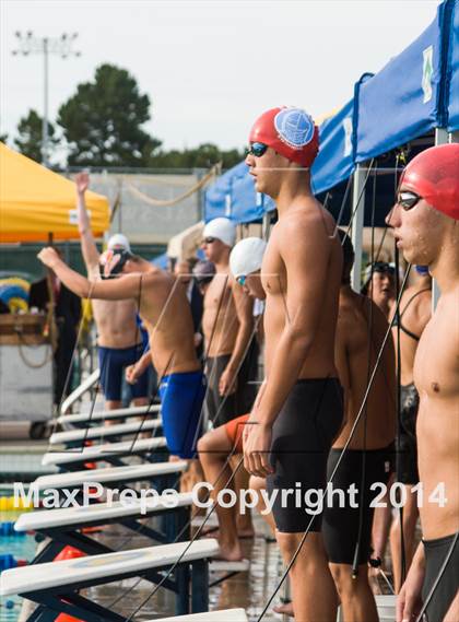 Thumbnail 3 in CIF CCS Boys Swimming Championship photogallery.