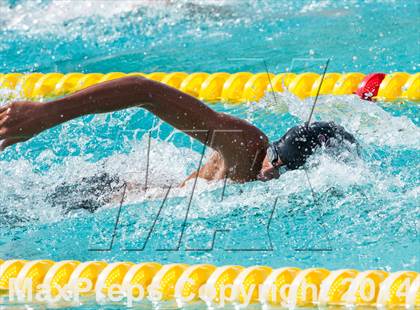 Thumbnail 1 in CIF CCS Boys Swimming Championship photogallery.