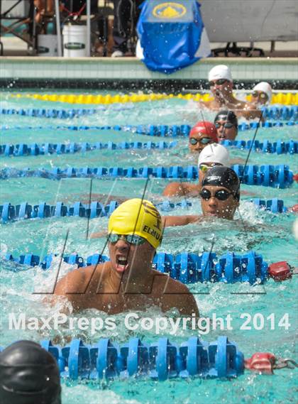 Thumbnail 3 in CIF CCS Boys Swimming Championship photogallery.