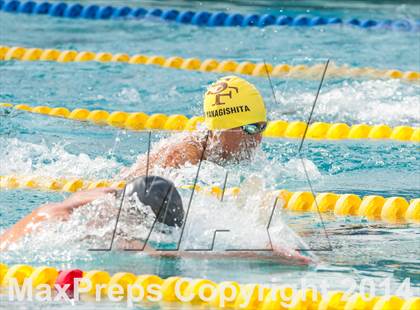 Thumbnail 1 in CIF CCS Boys Swimming Championship photogallery.