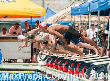 Thumbnail 2 in CIF CCS Boys Swimming Championship photogallery.