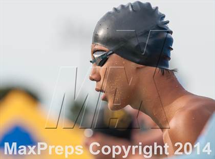 Thumbnail 1 in CIF CCS Boys Swimming Championship photogallery.