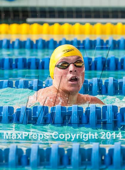 Thumbnail 1 in CIF CCS Boys Swimming Championship photogallery.