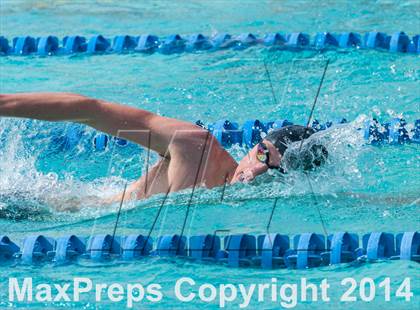 Thumbnail 3 in CIF CCS Boys Swimming Championship photogallery.