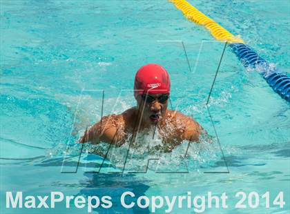 Thumbnail 2 in CIF CCS Boys Swimming Championship photogallery.