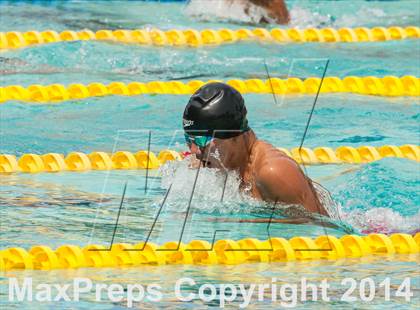 Thumbnail 2 in CIF CCS Boys Swimming Championship photogallery.