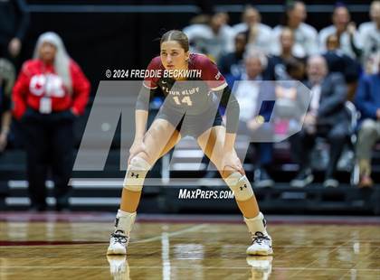 Thumbnail 1 in McKinney North vs. Flour Bluff (UIL 5A Volleyball Division I Final) photogallery.