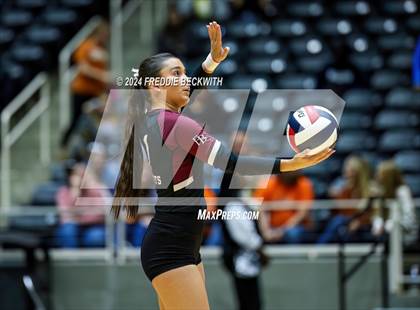 Thumbnail 3 in McKinney North vs. Flour Bluff (UIL 5A Volleyball Division I Final) photogallery.